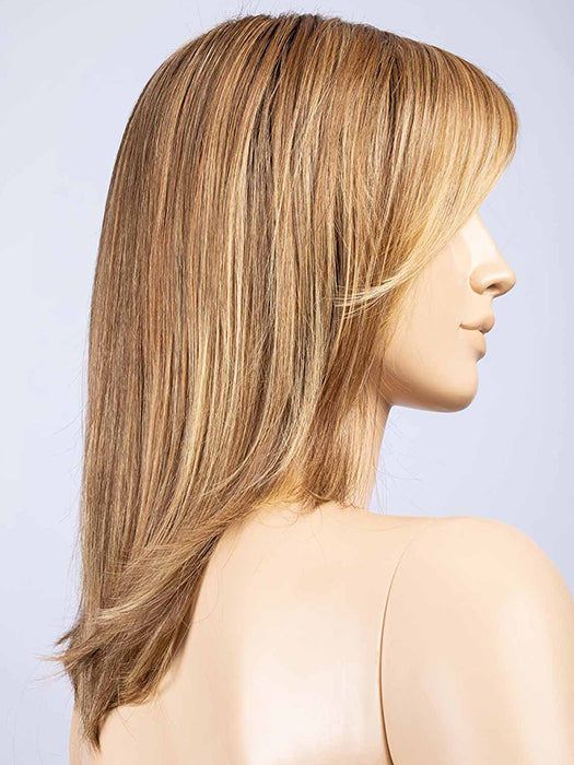 BERNSTEIN MULTI SHADED 12.27.26 | Light brown with medium golden blonde and dark strawberry blonde blend with dark shaded roots