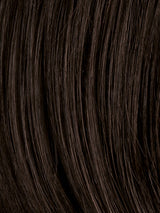 DARK BROWN 4.2 | Darkest Brown and Black/Dark Brown Blend