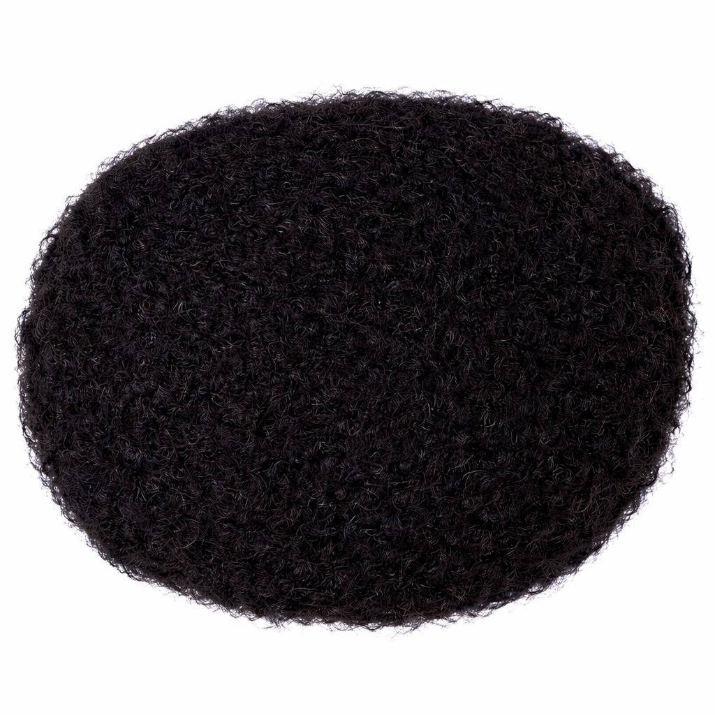 Toupees/Hairpiece, WNE-102, Full French Lace, 100 % High Quality Remy AFRO CURL Human Hair for Black Men, Base Size = 8"X10"
