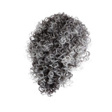 Sassy Curl Jayne Wig
