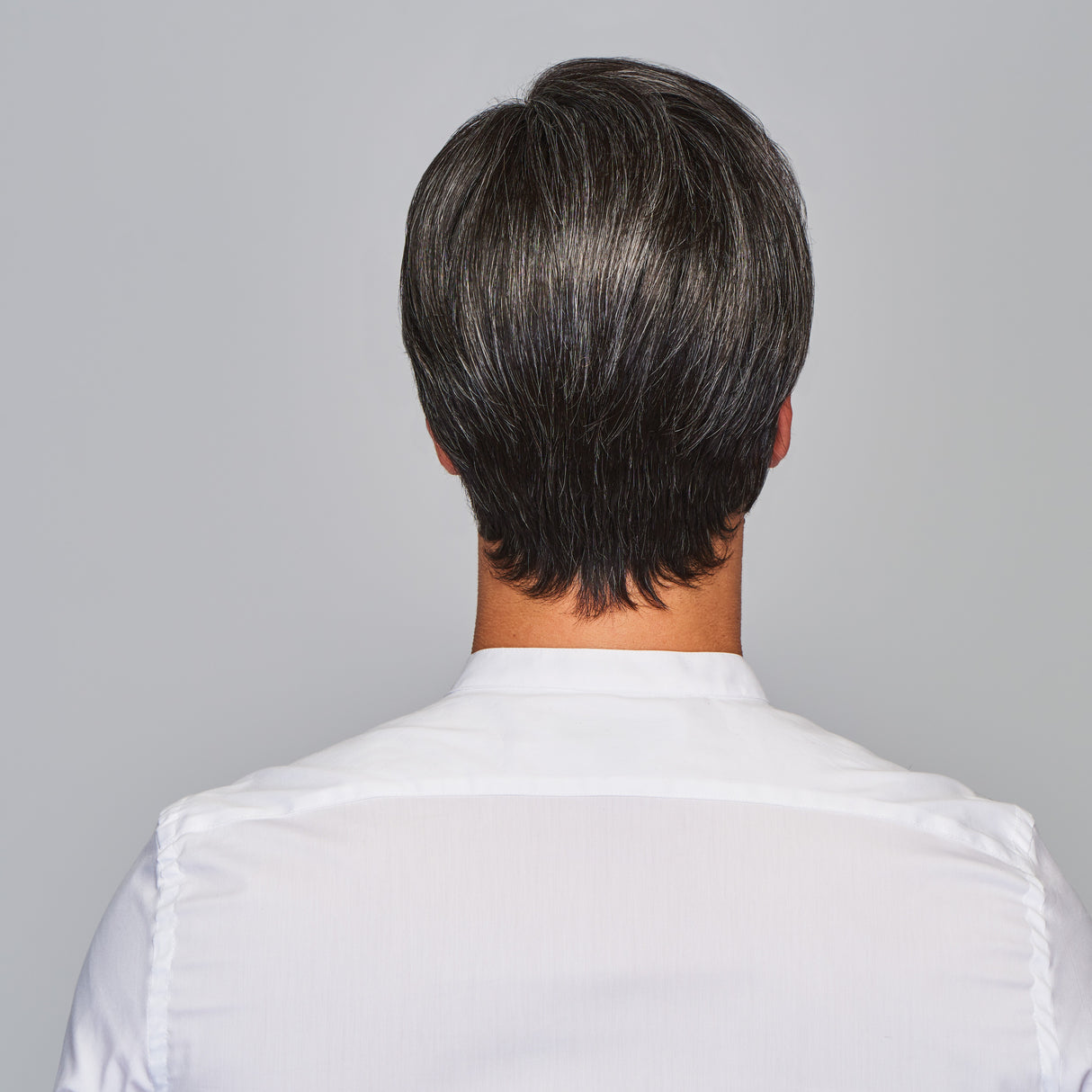 Gallant Average large