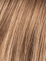 BERNSTEIN MIX 12.26 | Lightest Brown Blended with Light Golden Blonde