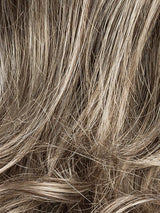 SMOKE BLONDE MIX 38.15.24 | Light Brown and Grey with Light/Lightest Ash Blonde Blend