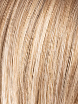 CHAMPAGNE ROOTED 22.16.25 | Light Neutral Blonde and Medium Blonde with Lightest Golden Blonde Blend and Shaded Roots