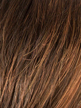 DARK CHOCOLATE LIGHTED 4.33.31 | Darkest Brown and Dark Auburn Blend, with Light Reddish Auburn Highlights on the Top and Front