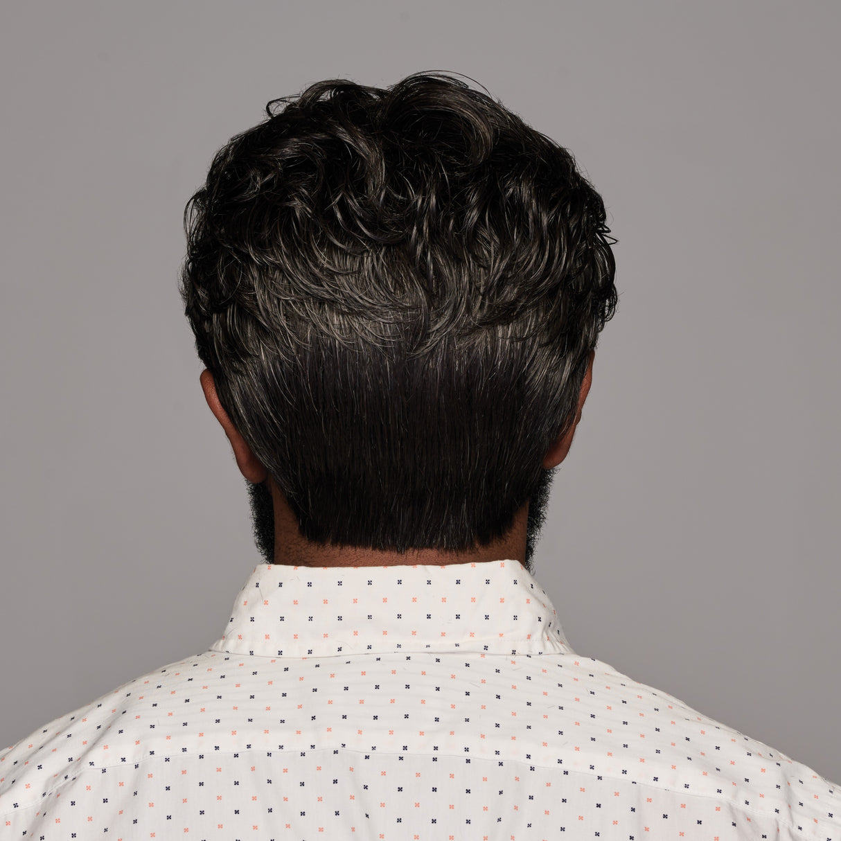 Dignified Average large