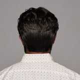 Dignified Average large