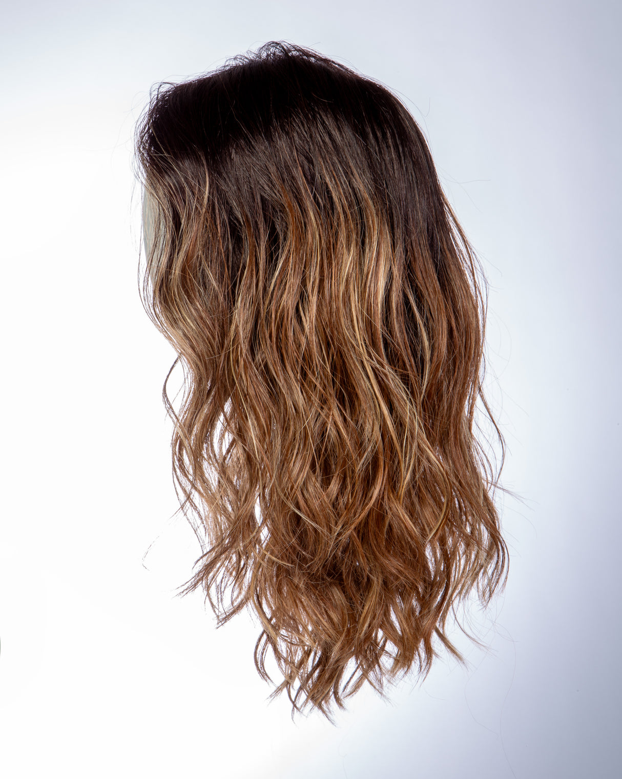 Balayage Beauty